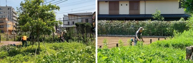 20220628_koigakubo_w_03.jpg