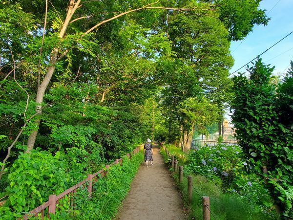 20220629_kodaira_01.jpg