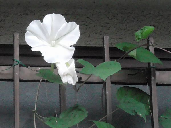 20220924_kodaira_07.jpg