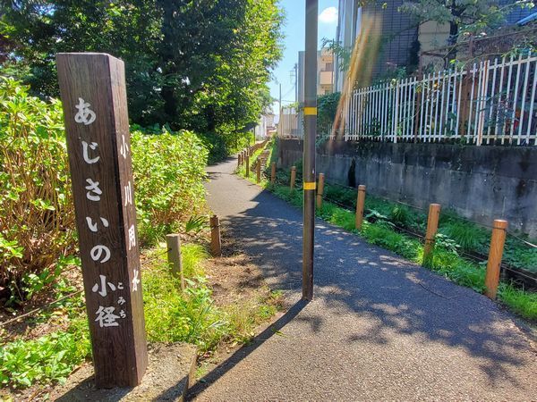 20220926_kodaira_01.jpg