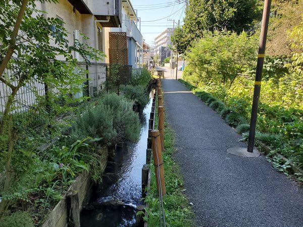 20220926_kodaira_02.jpg