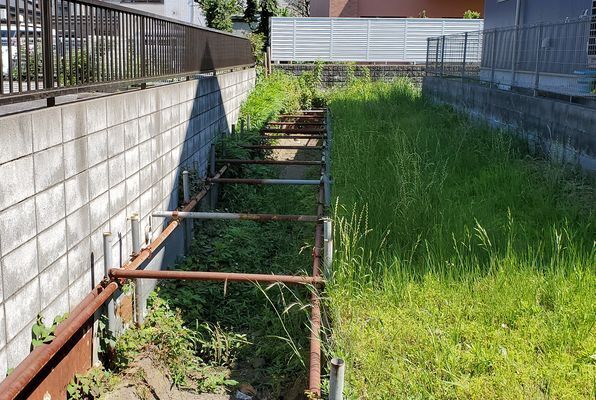 20240608_yamamomo_01.jpg