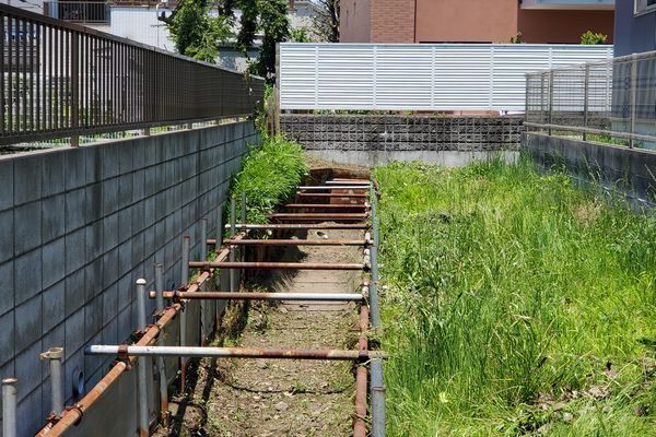 20240608_yamamomo_06.jpg
