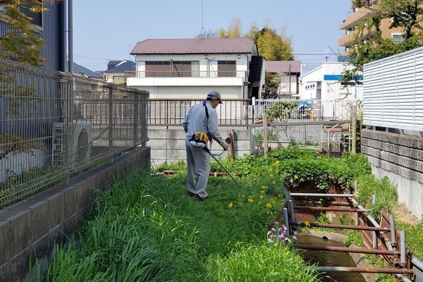 20250412_yamamomo_05.jpg