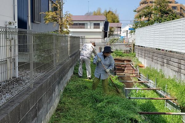 20250412_yamamomo_08.jpg