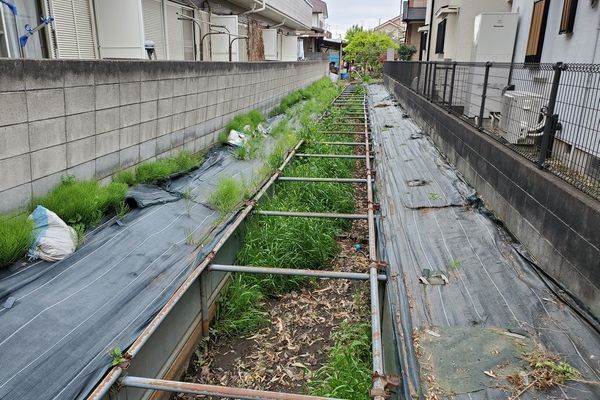 20250426_rokusho_01.jpg